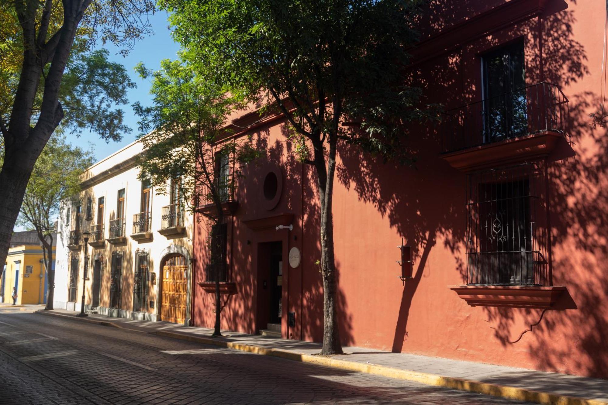 فندق El Consuelo Oaxaca المظهر الخارجي الصورة